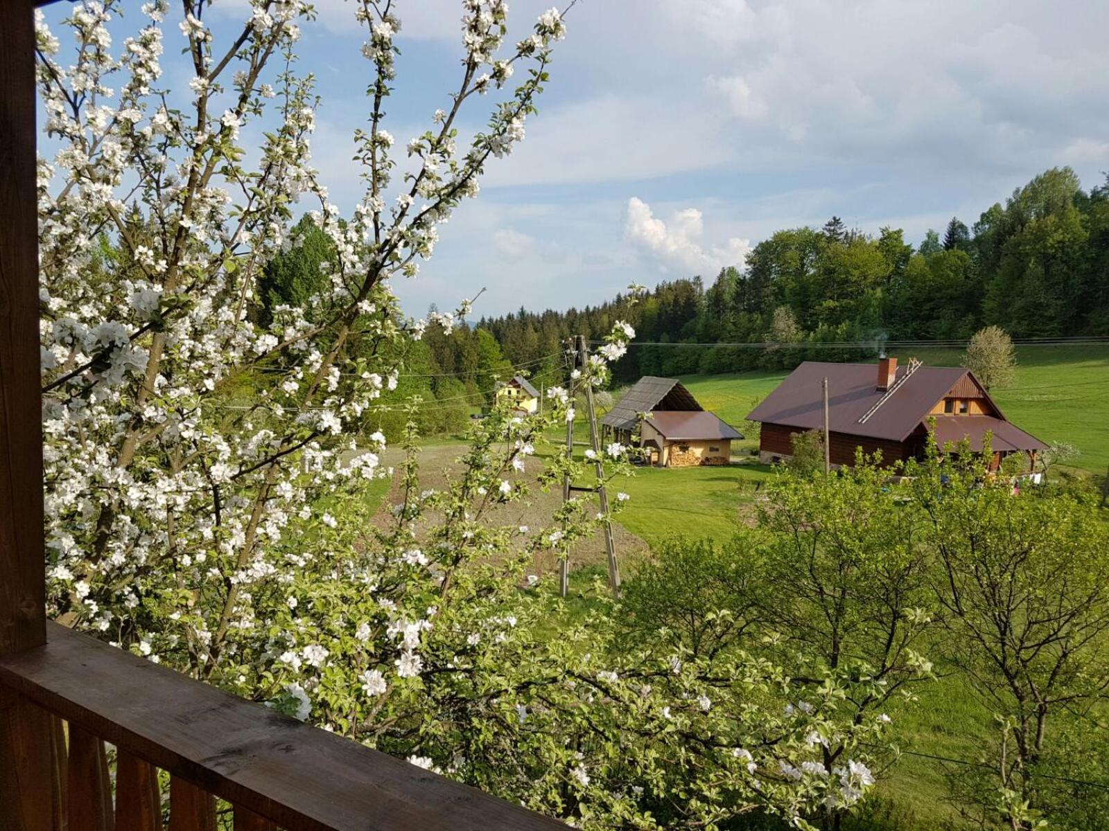 Chalet photo 1