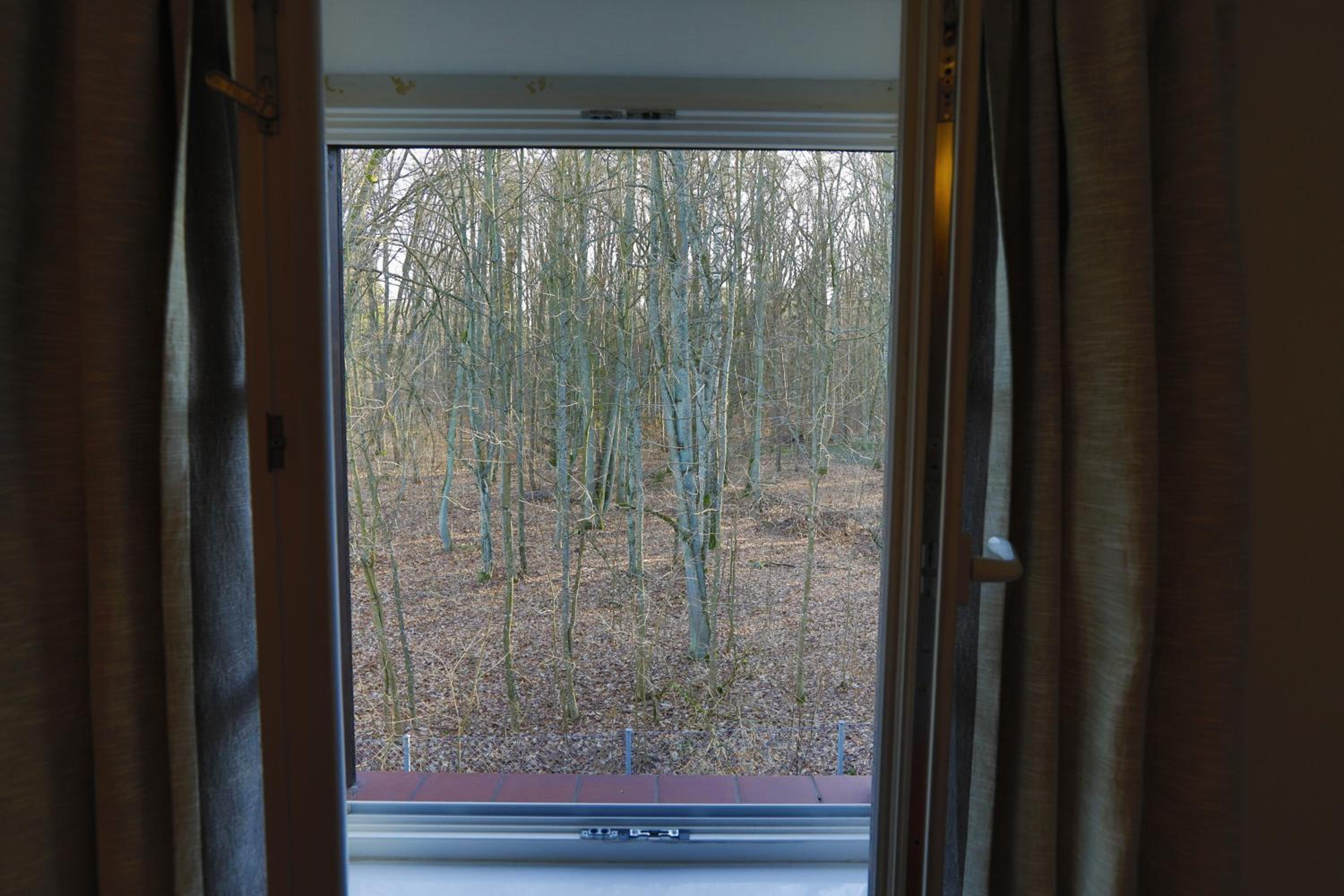 One-Bedroom Apartment - Photo 4