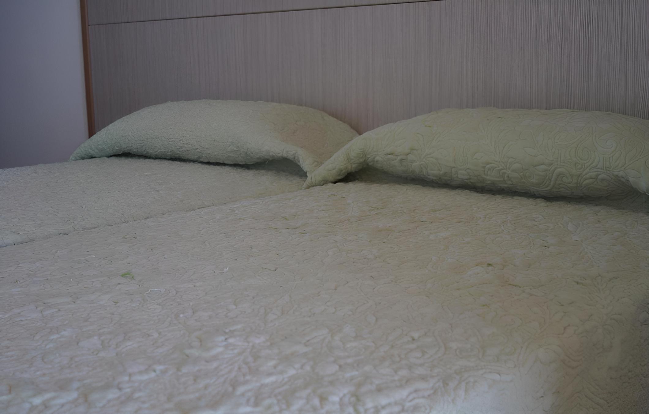 Double or Twin Room with View - Photo 5