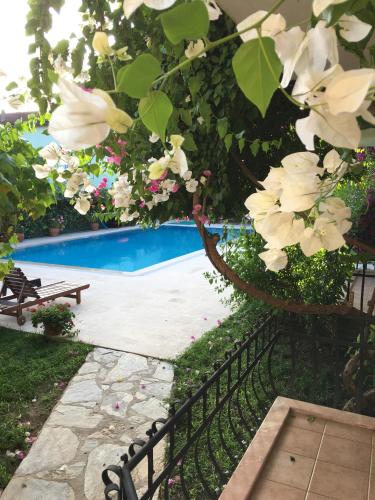 Double Room with Pool View - Photo 3