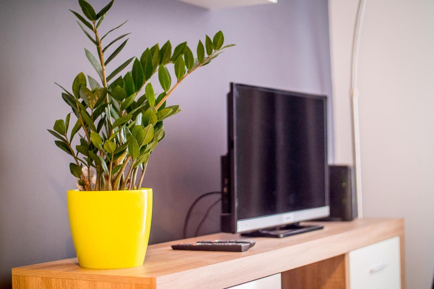 Apartment - Photo 4