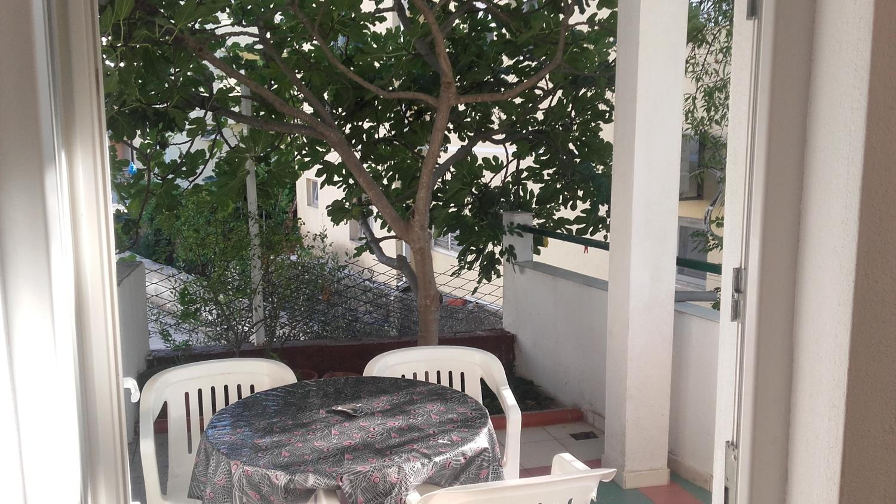 Apartment with Terrace photo 2