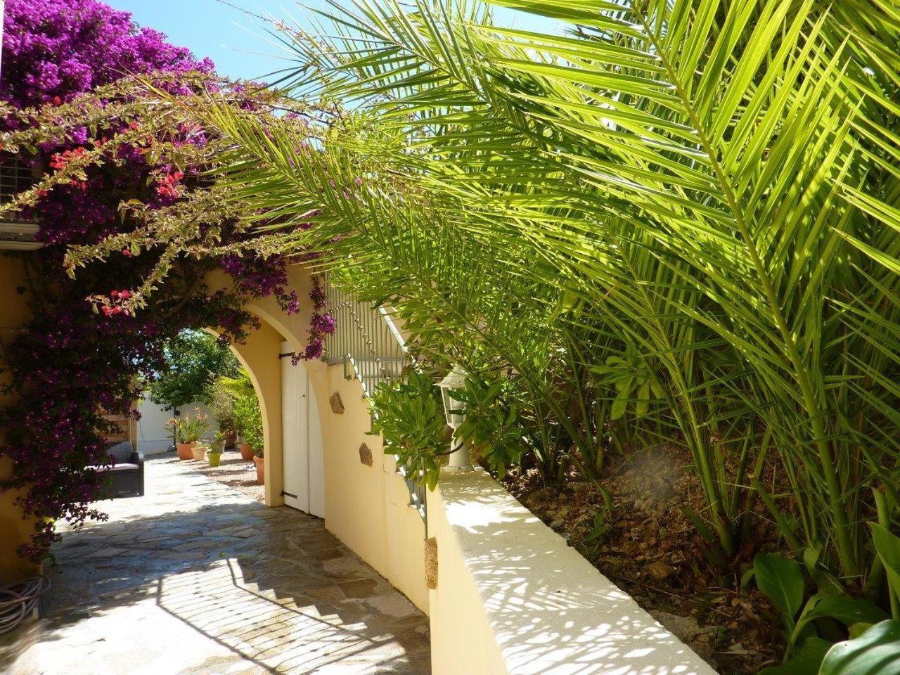 Apartment with Sea View and Garden photo 3
