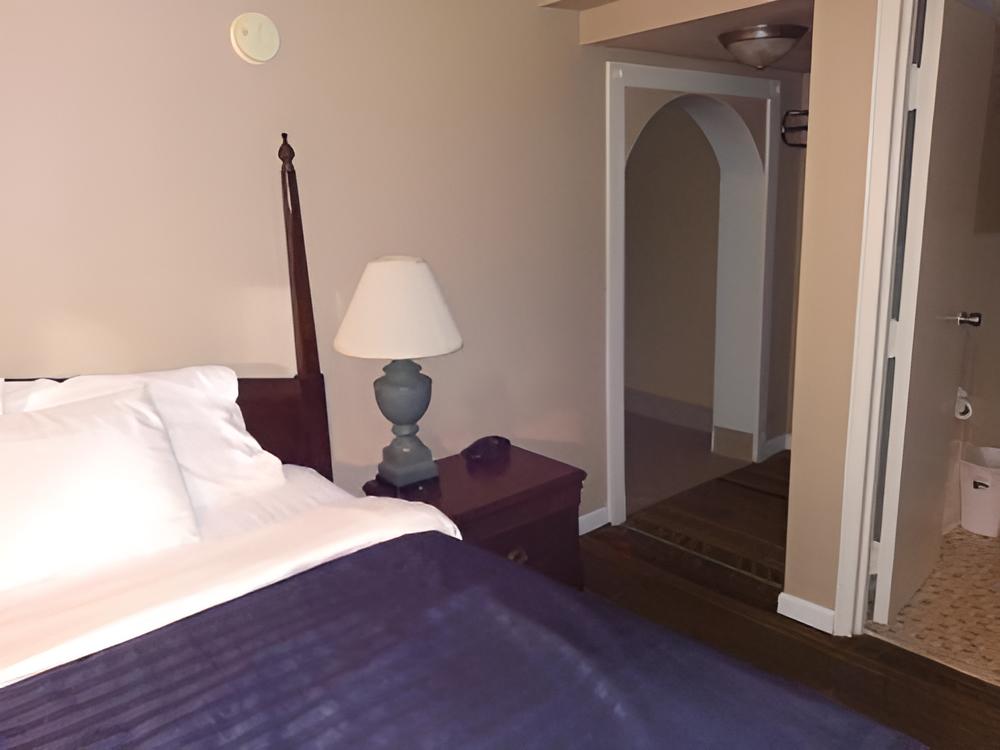 Deluxe King Suite
