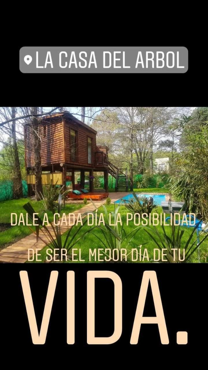 Cabin