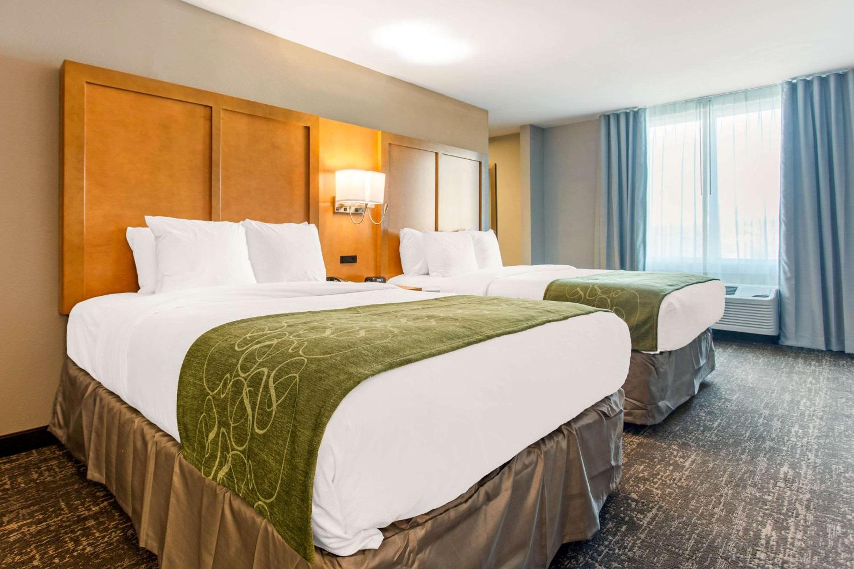 Queen Suite with Two Queen Beds and Sofa Bed - Disability Access photo 2