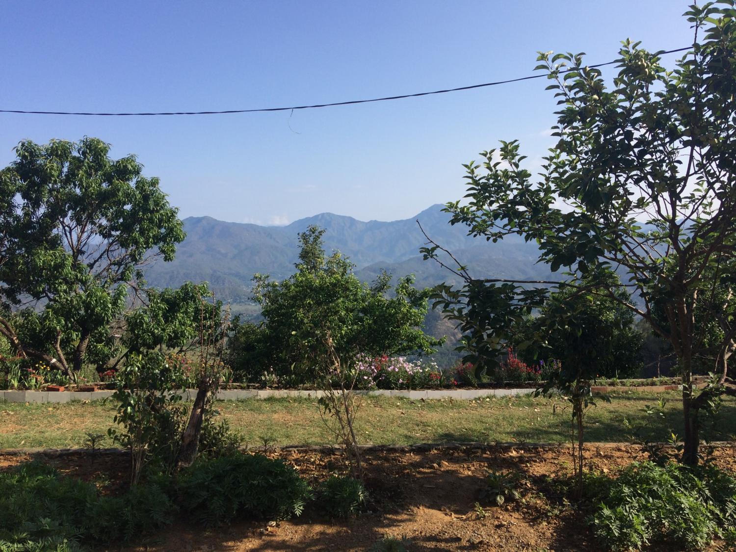 Double Room with Garden View photo 3