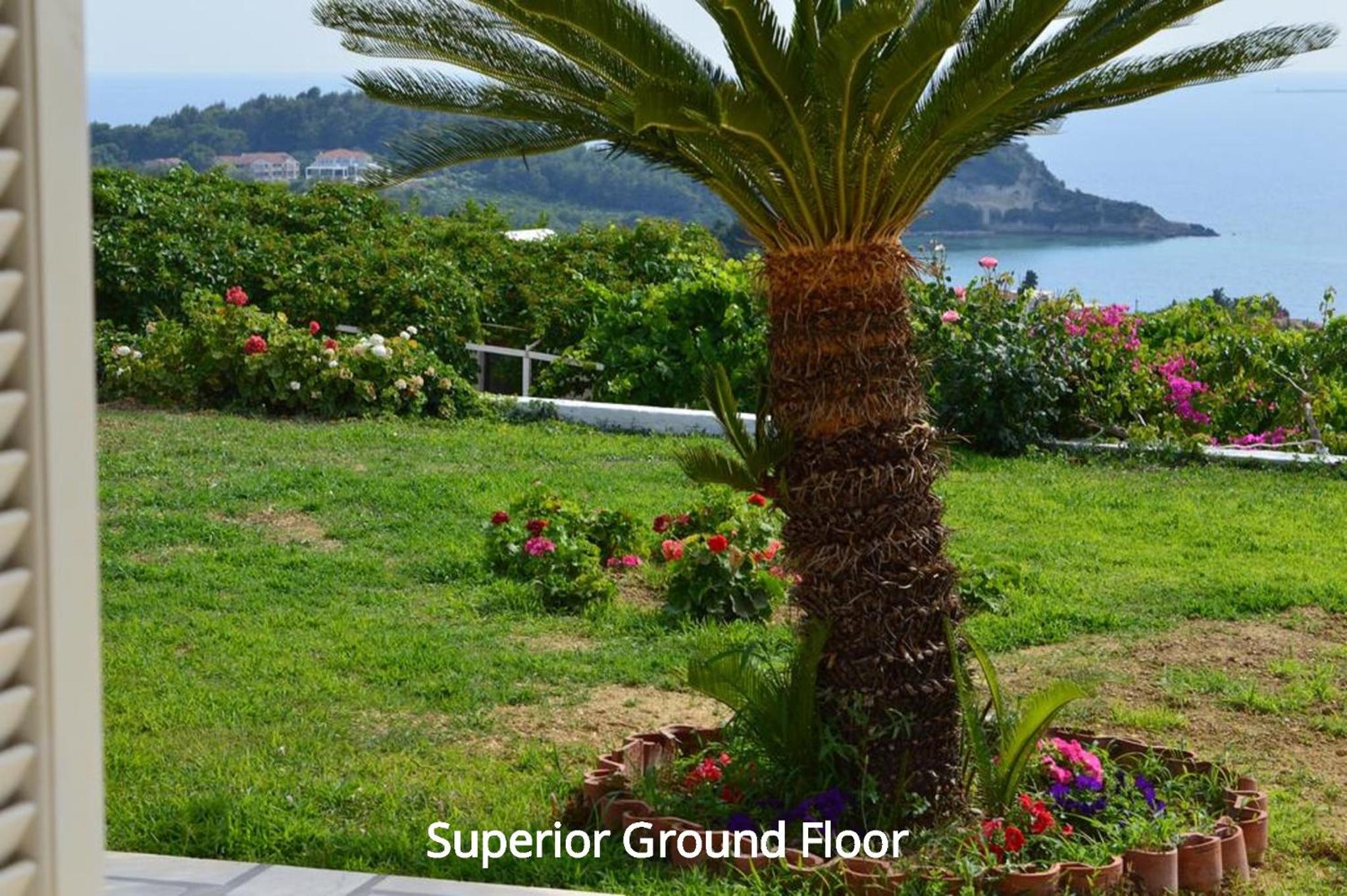 Apartment - Ground Floor photo 2