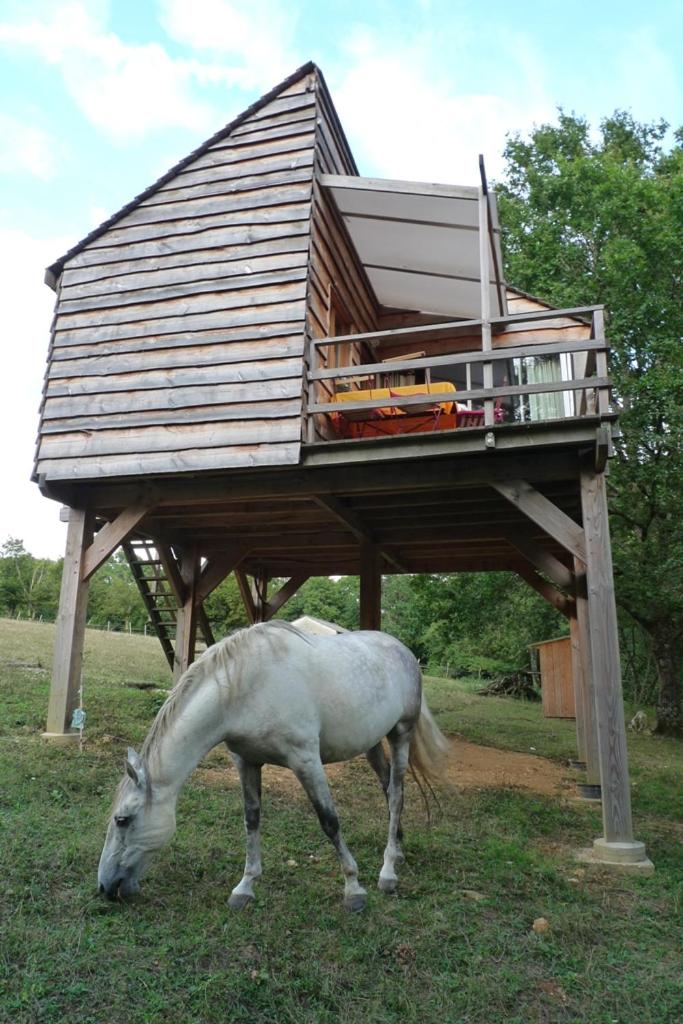 Family Tree House photo 3