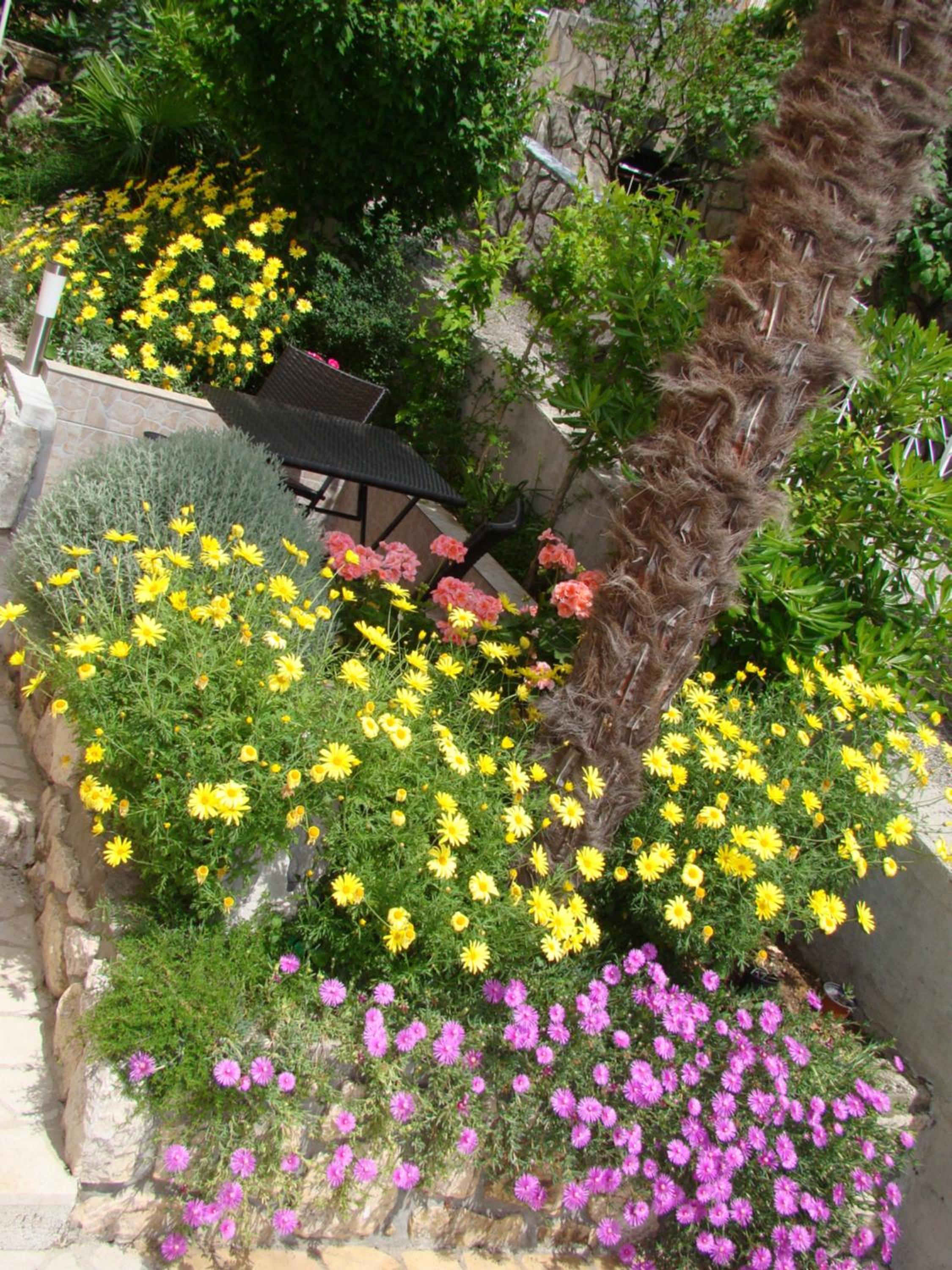 Studio with Terrace