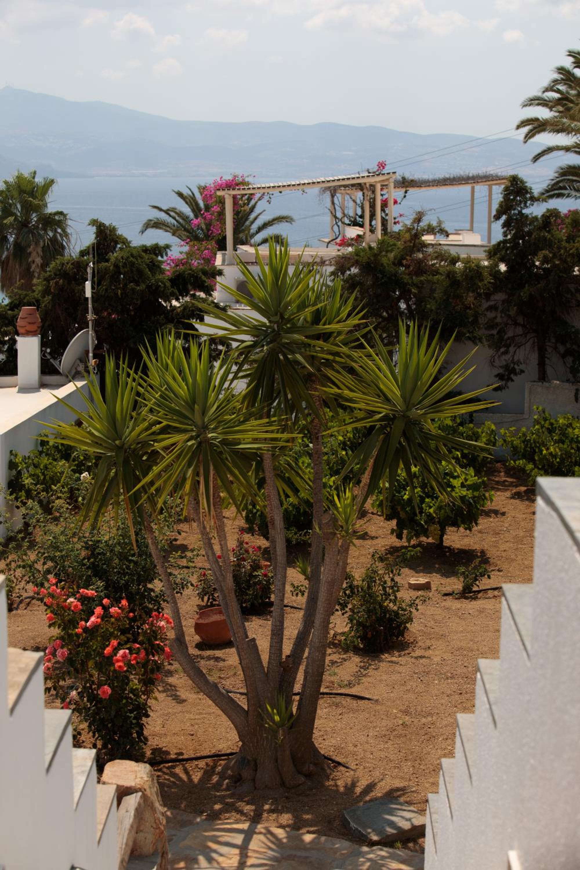 Apartment with Sea View photo 2