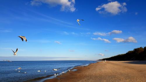 Holiday Home photo 2