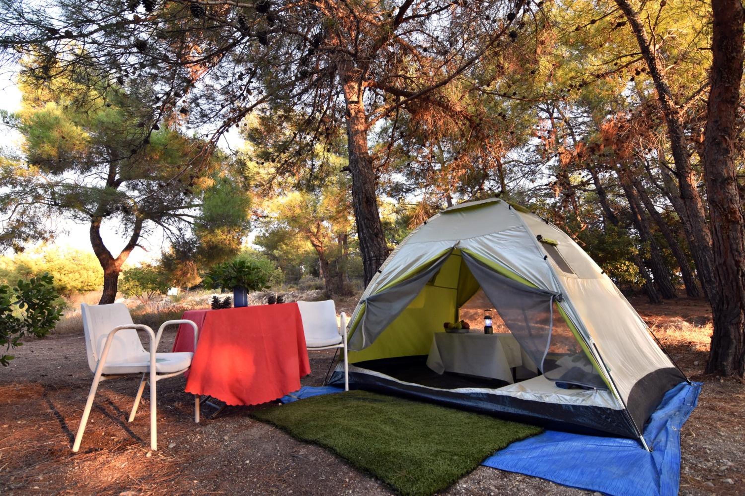Tent