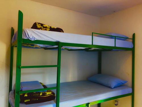 Bunk Bed in Mixed Dormitory Room