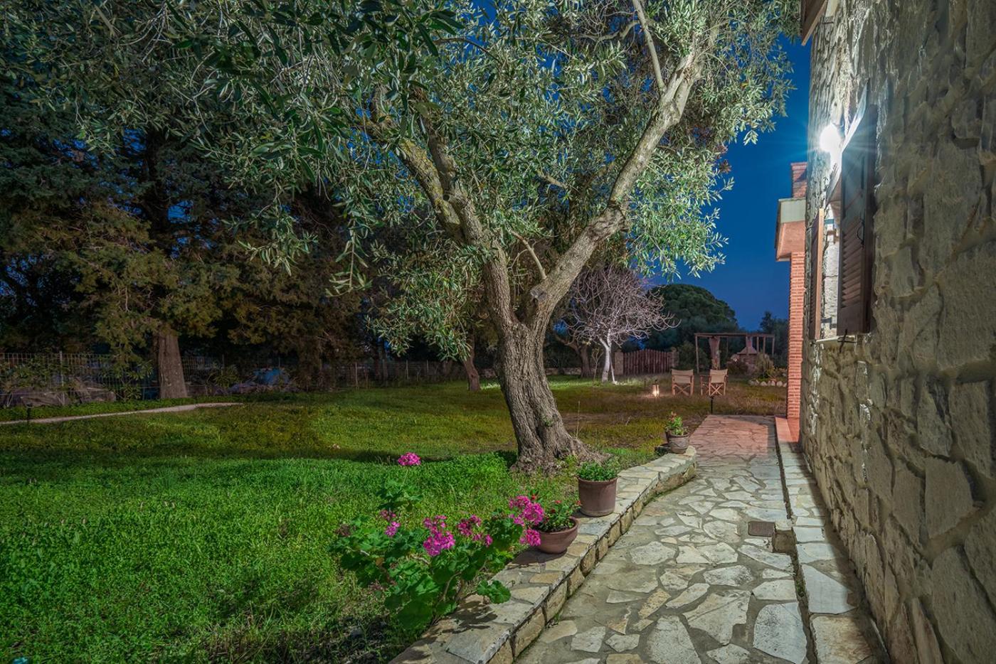 Three-Bedroom Villa - Photo 2