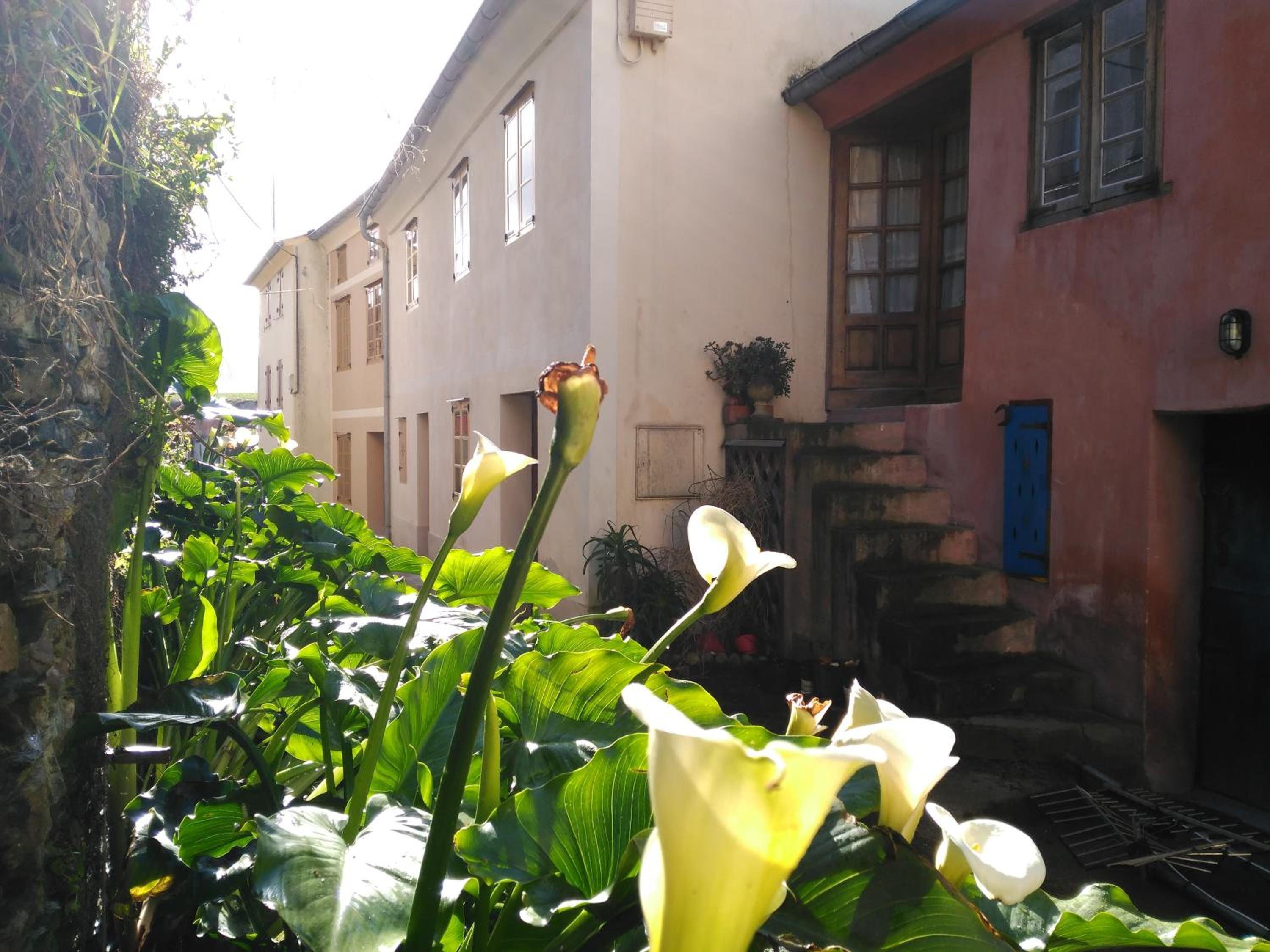 Three-Bedroom Townhouse