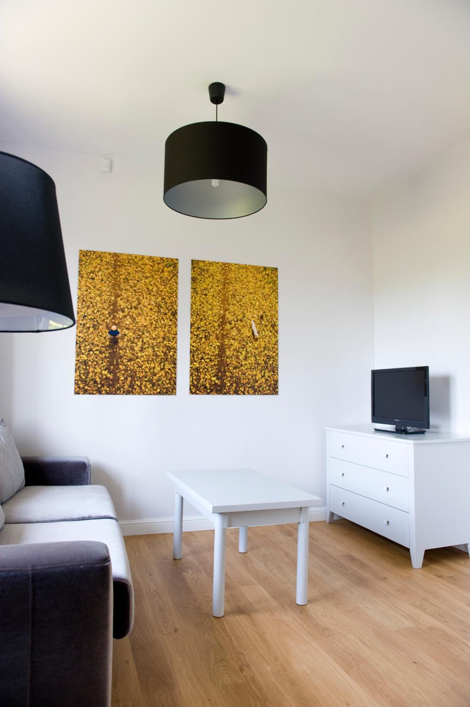 One-Bedroom Apartment - Yellow photo 1