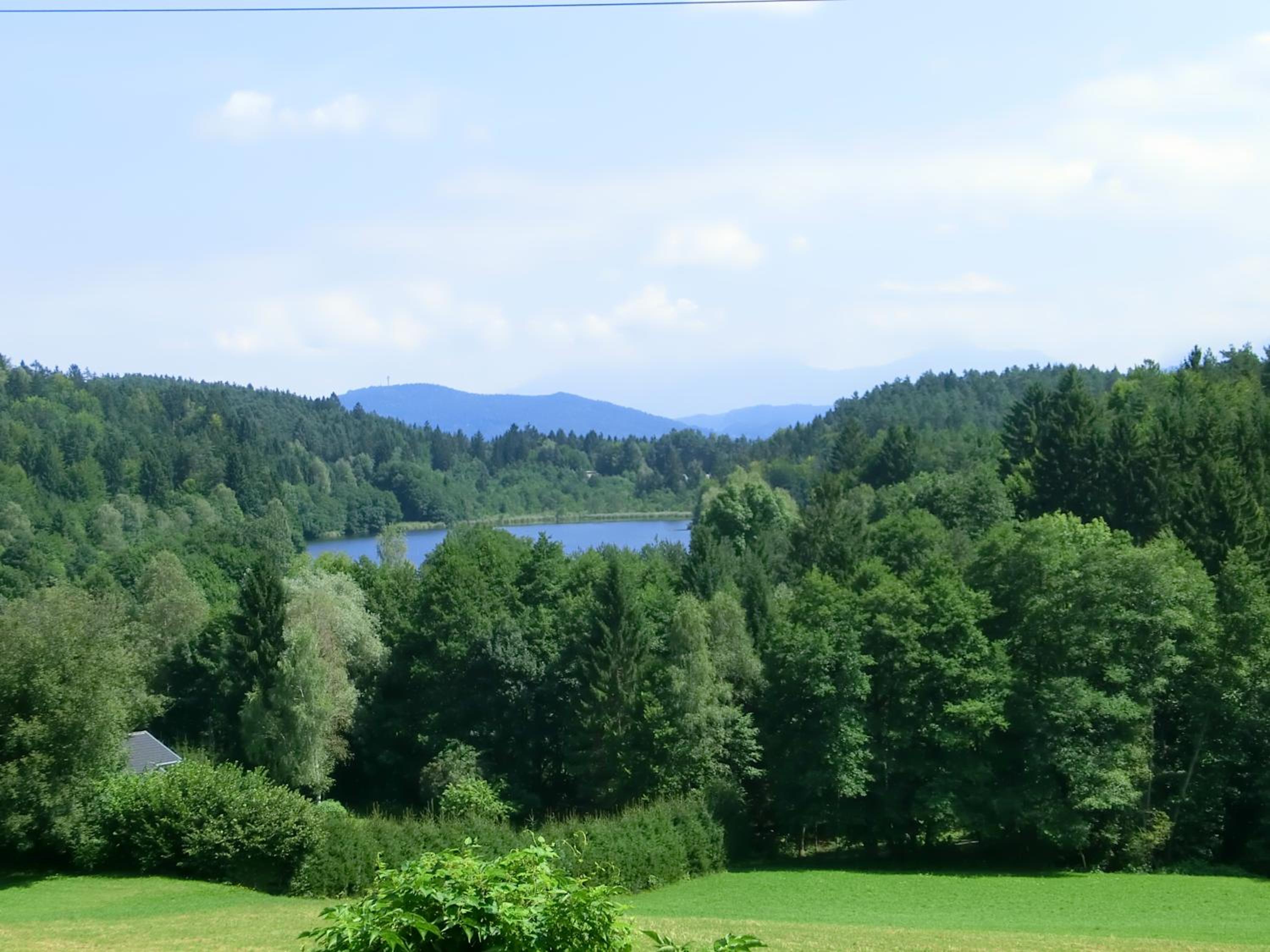 One-Bedroom Apartment with Terrace - Saisser See photo 1
