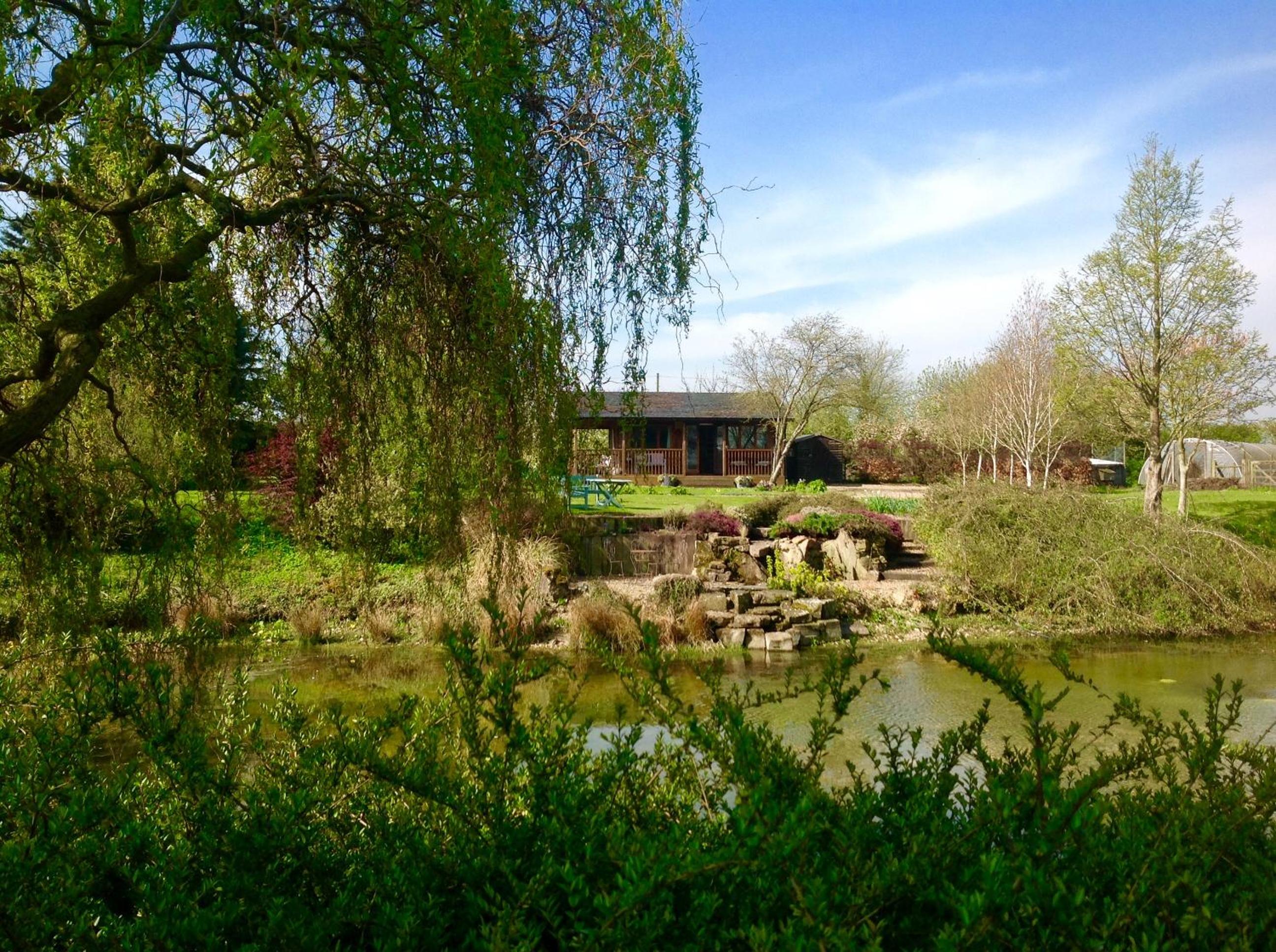 Cabin with Lake View photo 2