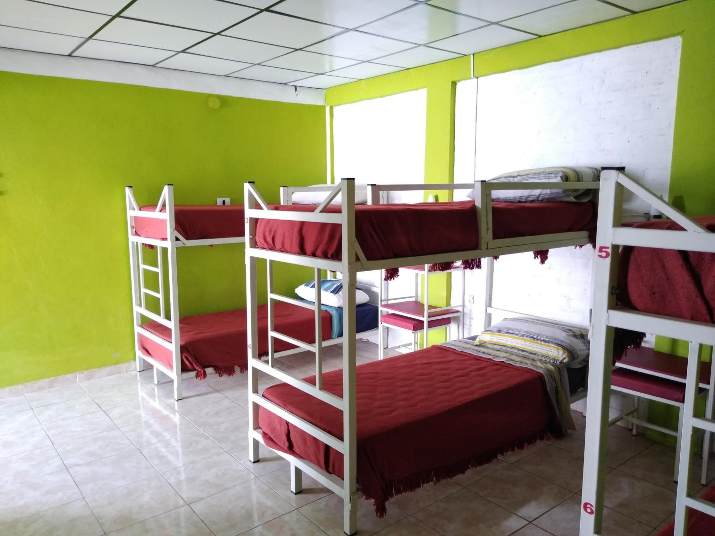 Family Room (6 Adults)