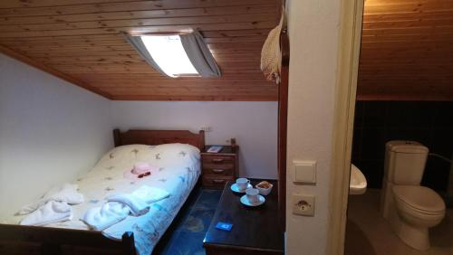 Mixed Dormitory Room