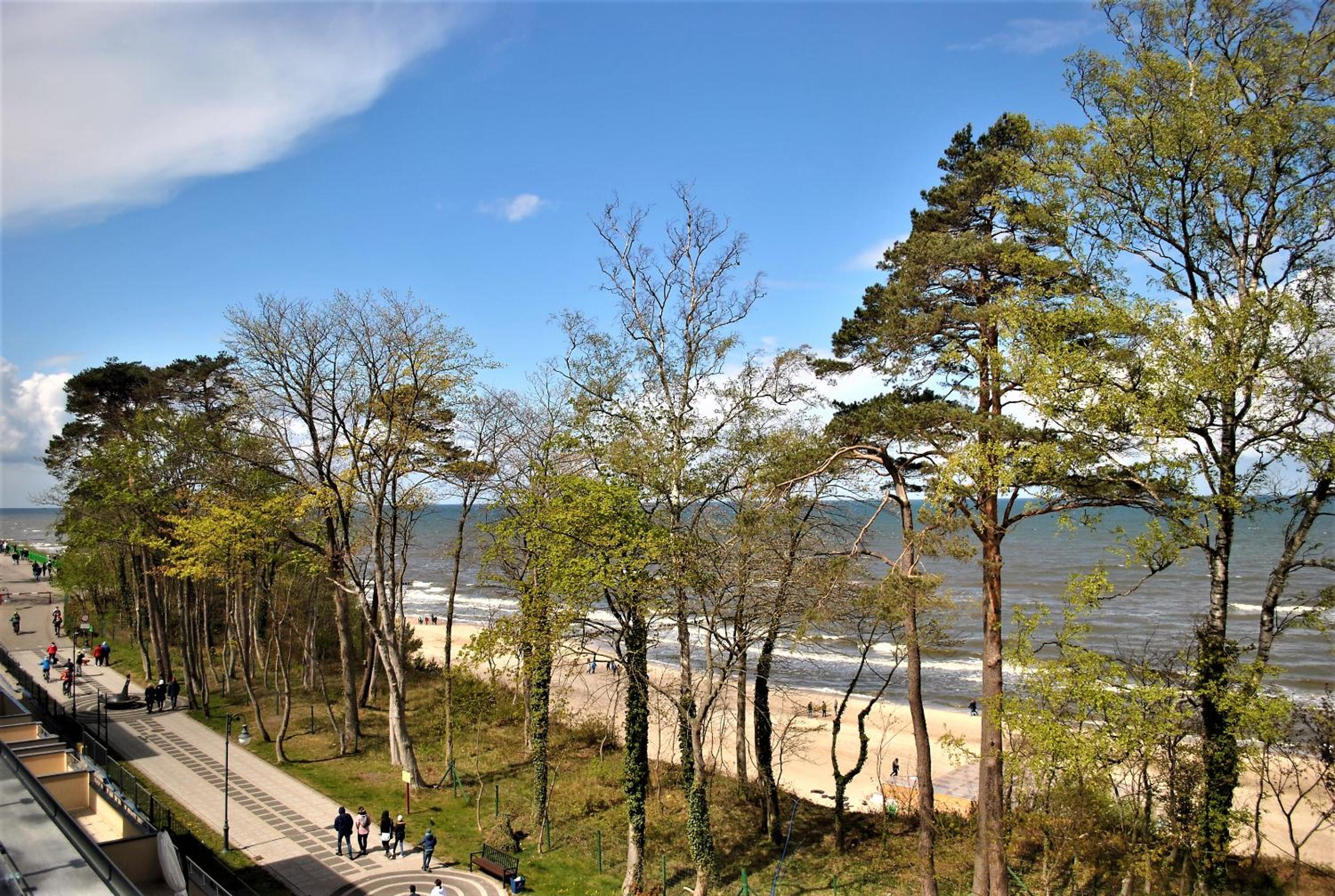 Apartment with Sea View photo 1