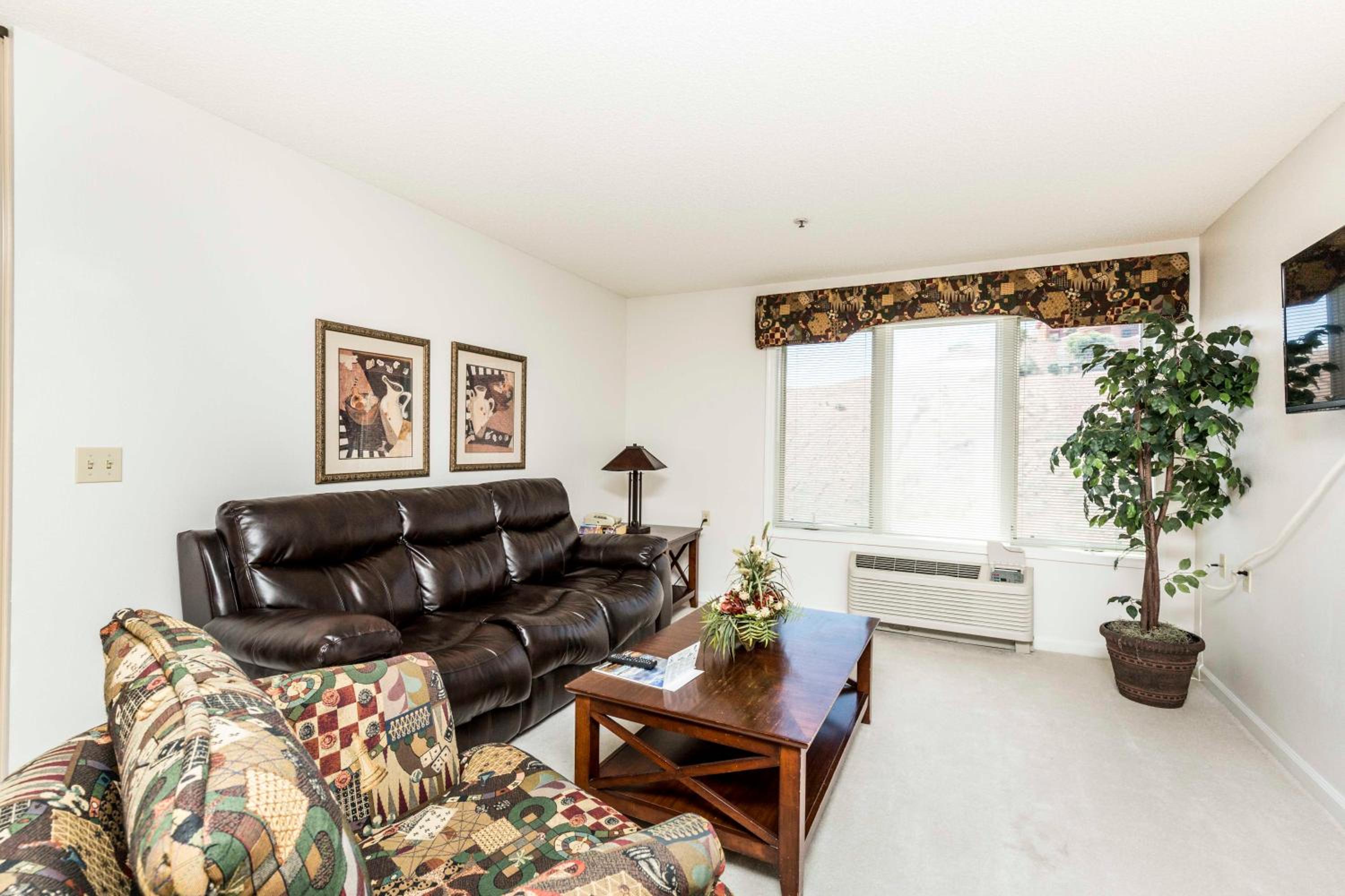 One-Bedroom Suite photo 2
