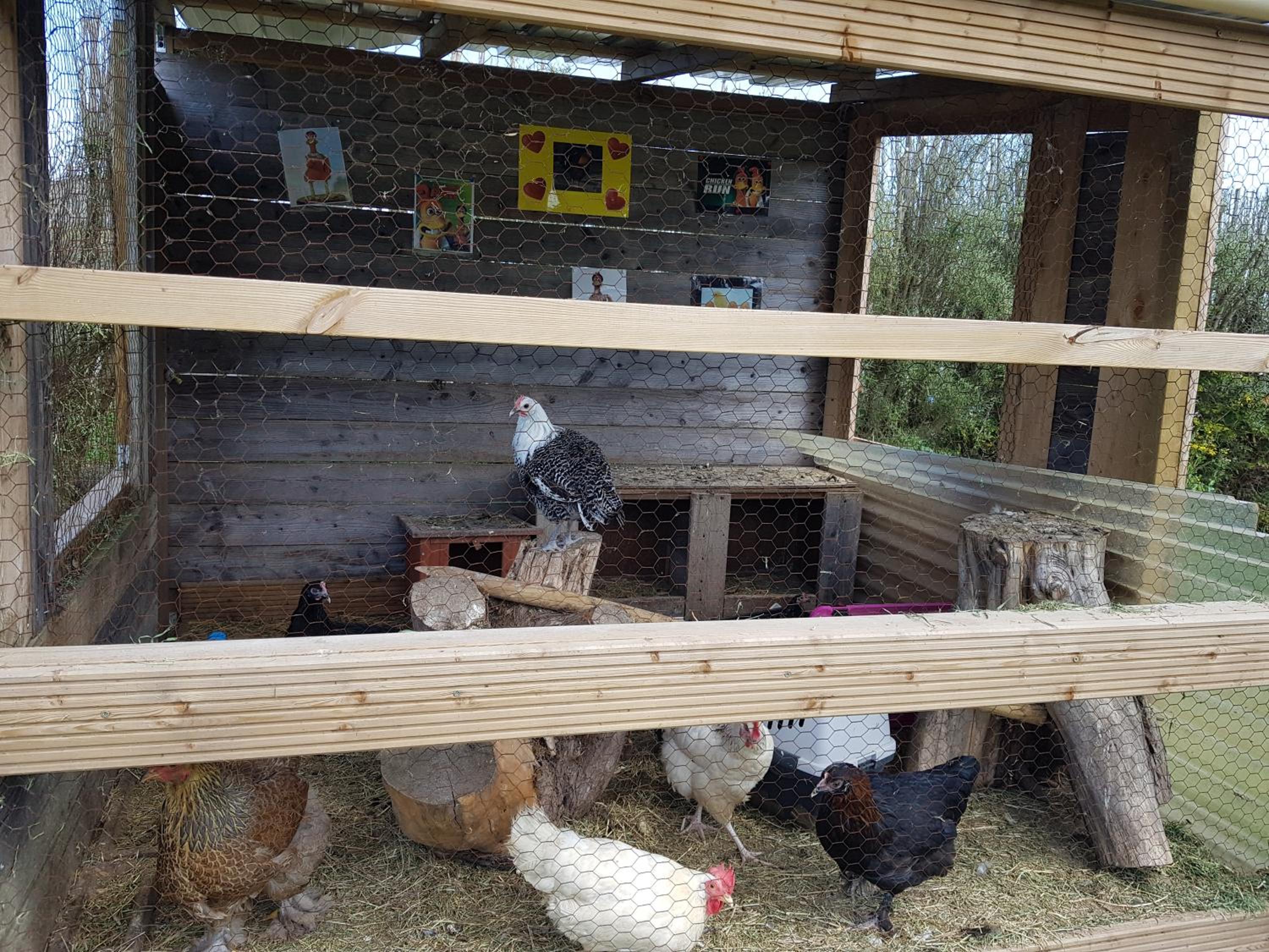 Holiday Home - Photo 3