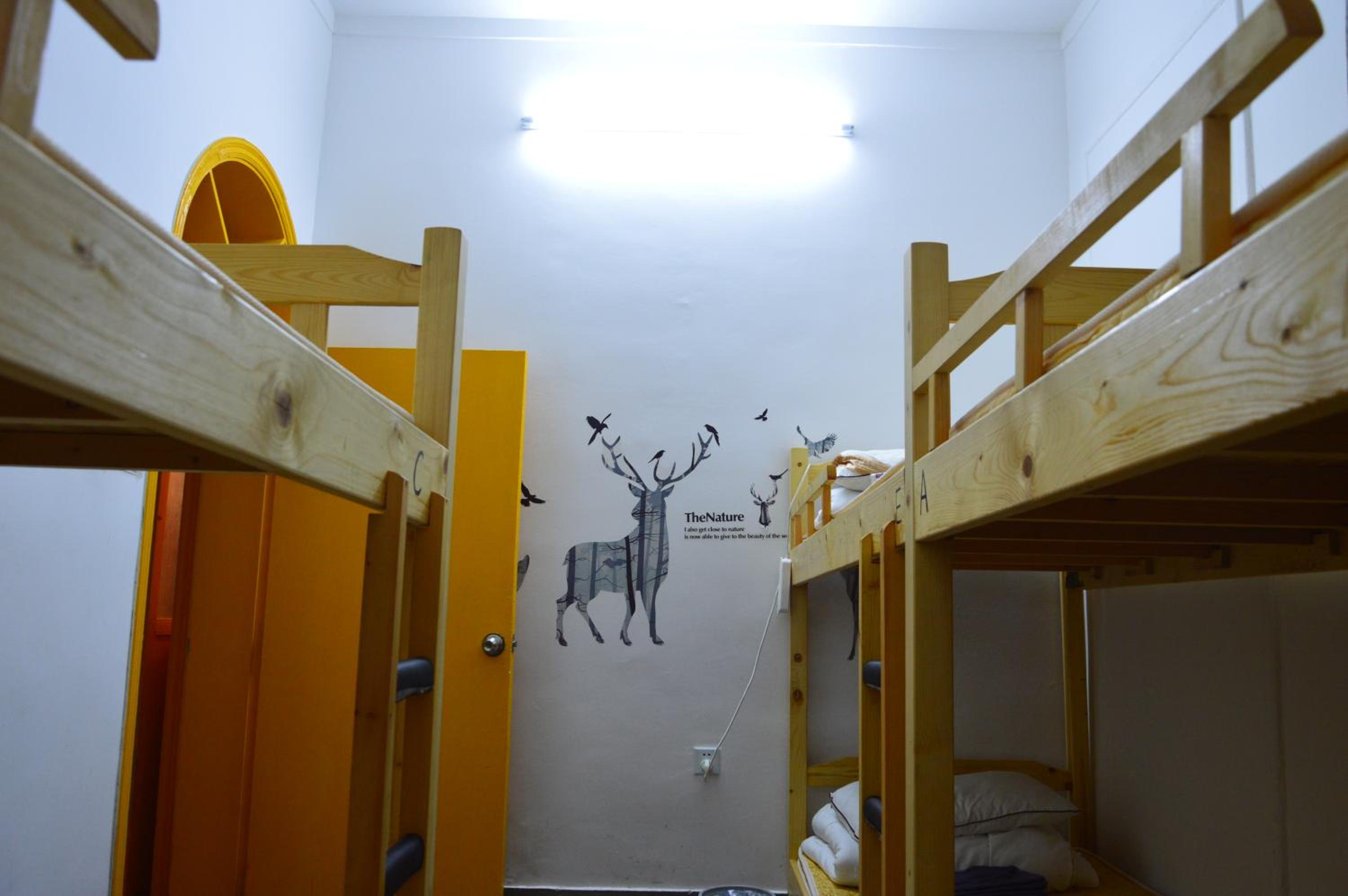 Bed in Male Dormitory Room photo 3