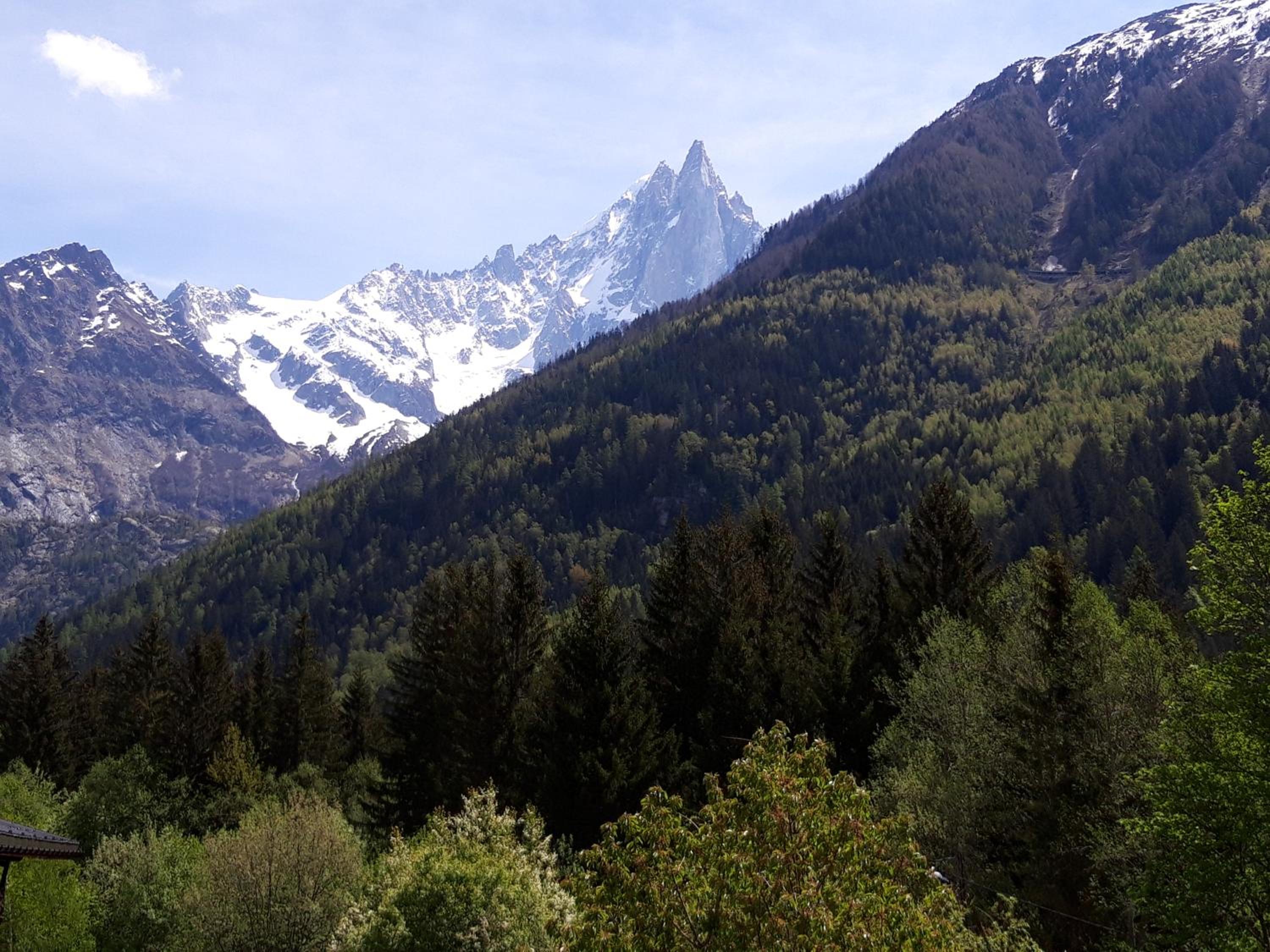 Twin Room with Mountain View