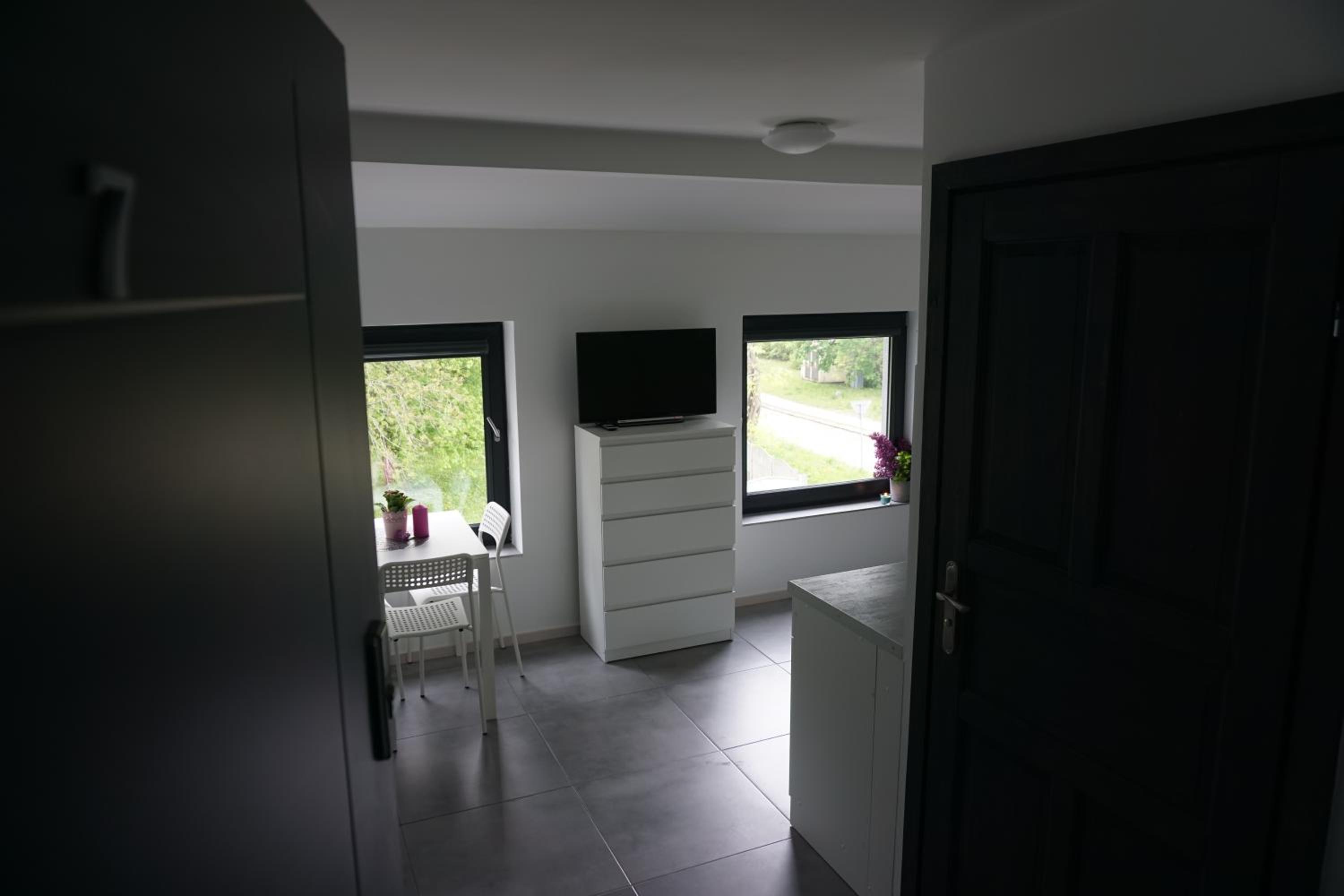Studio with Sofa Bed