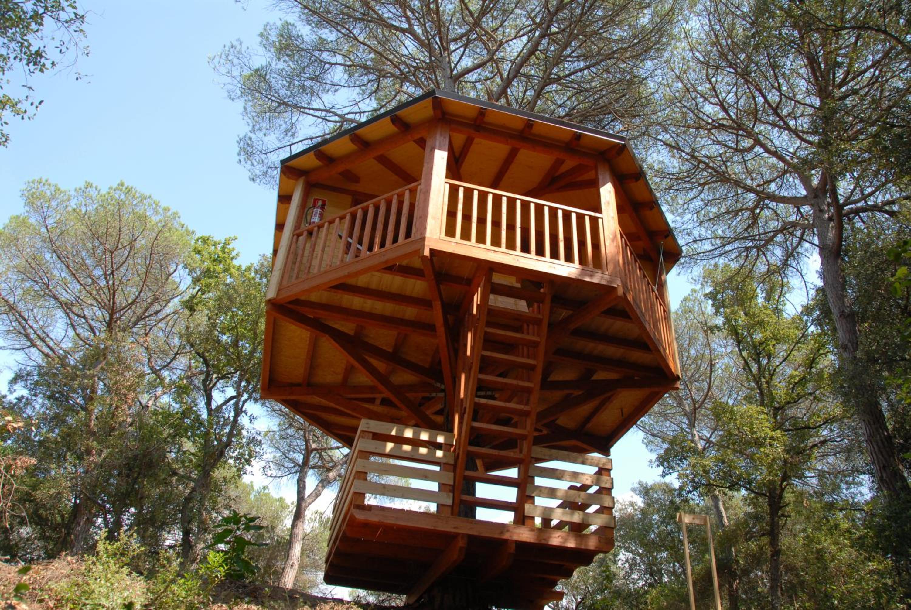 Tree House photo 2