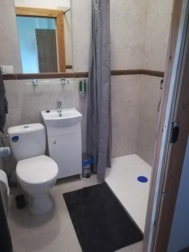 Family Room with Private Bathroom