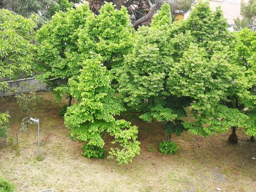 Holiday Home photo 3