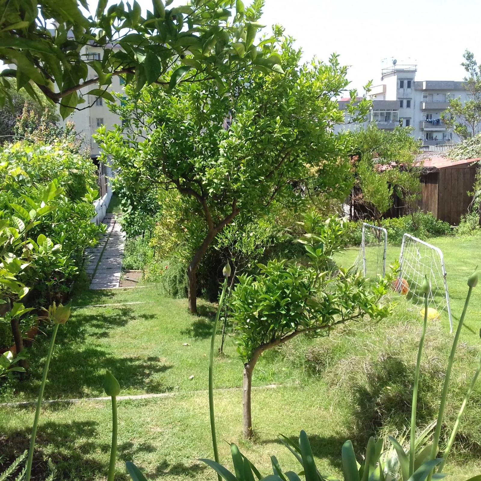 Villa photo 1