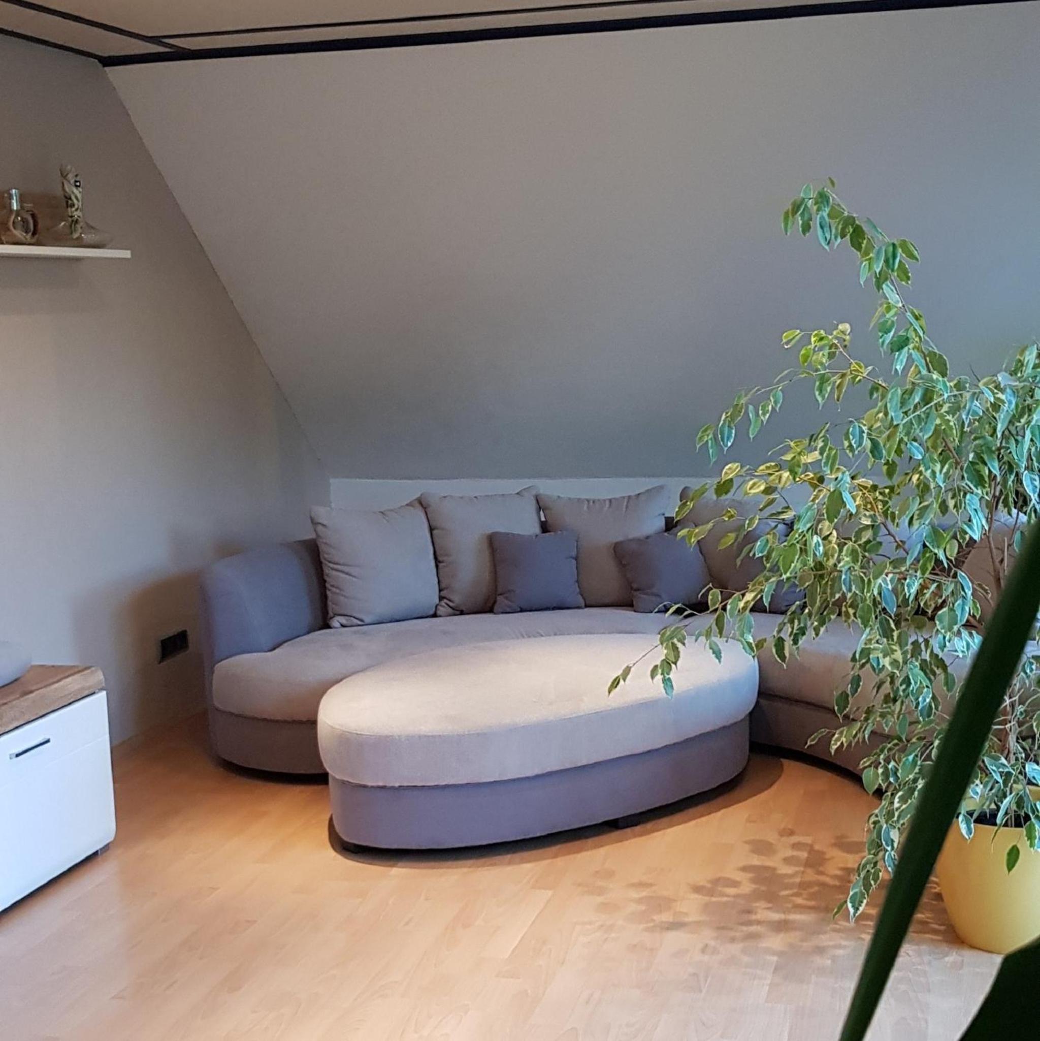 Apartment with Balcony photo 3