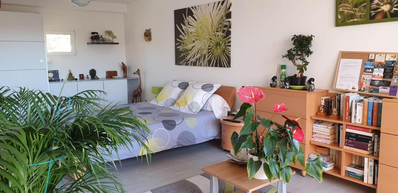Standard Double Suite