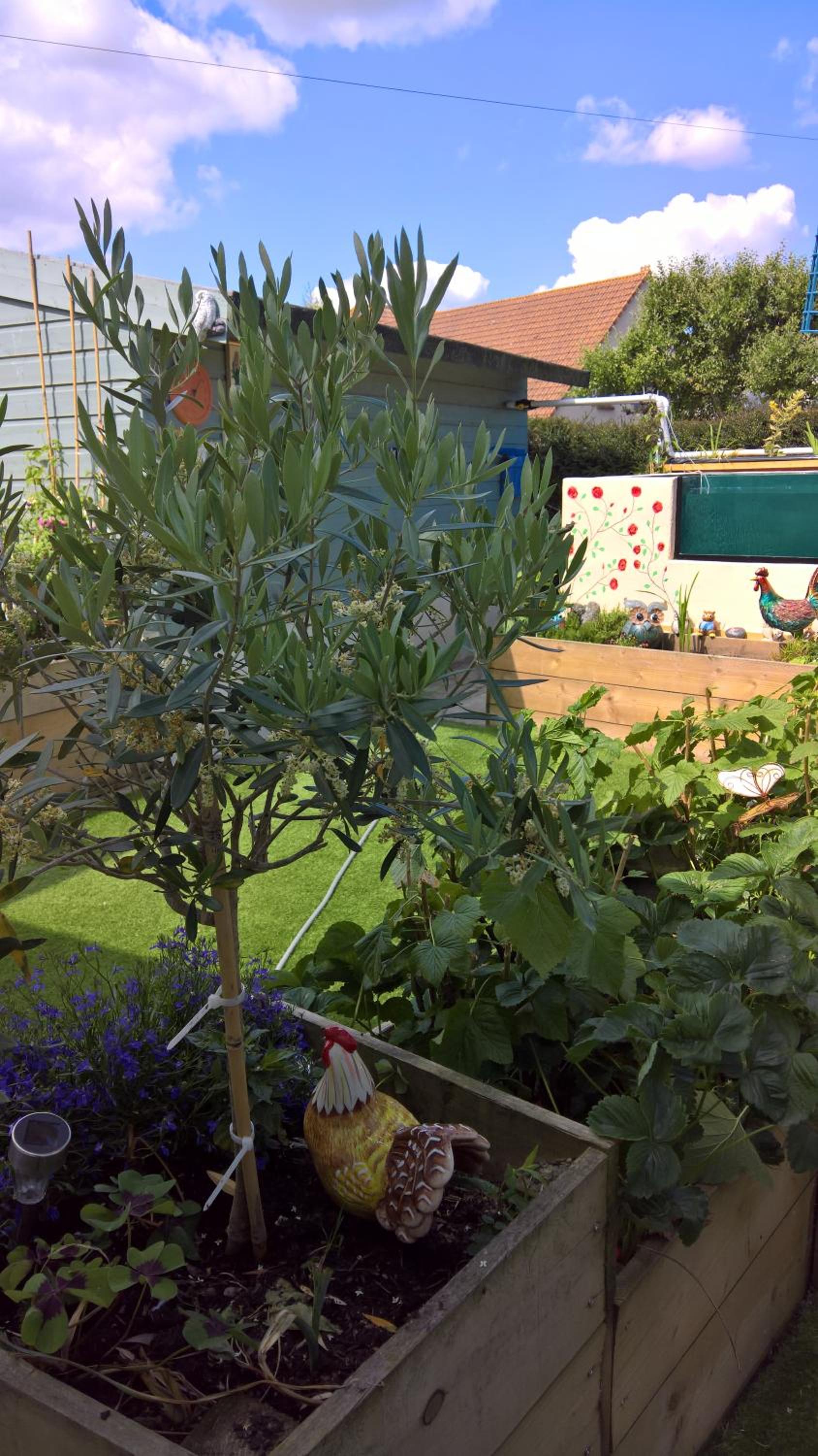 Double Room with Garden View photo 3
