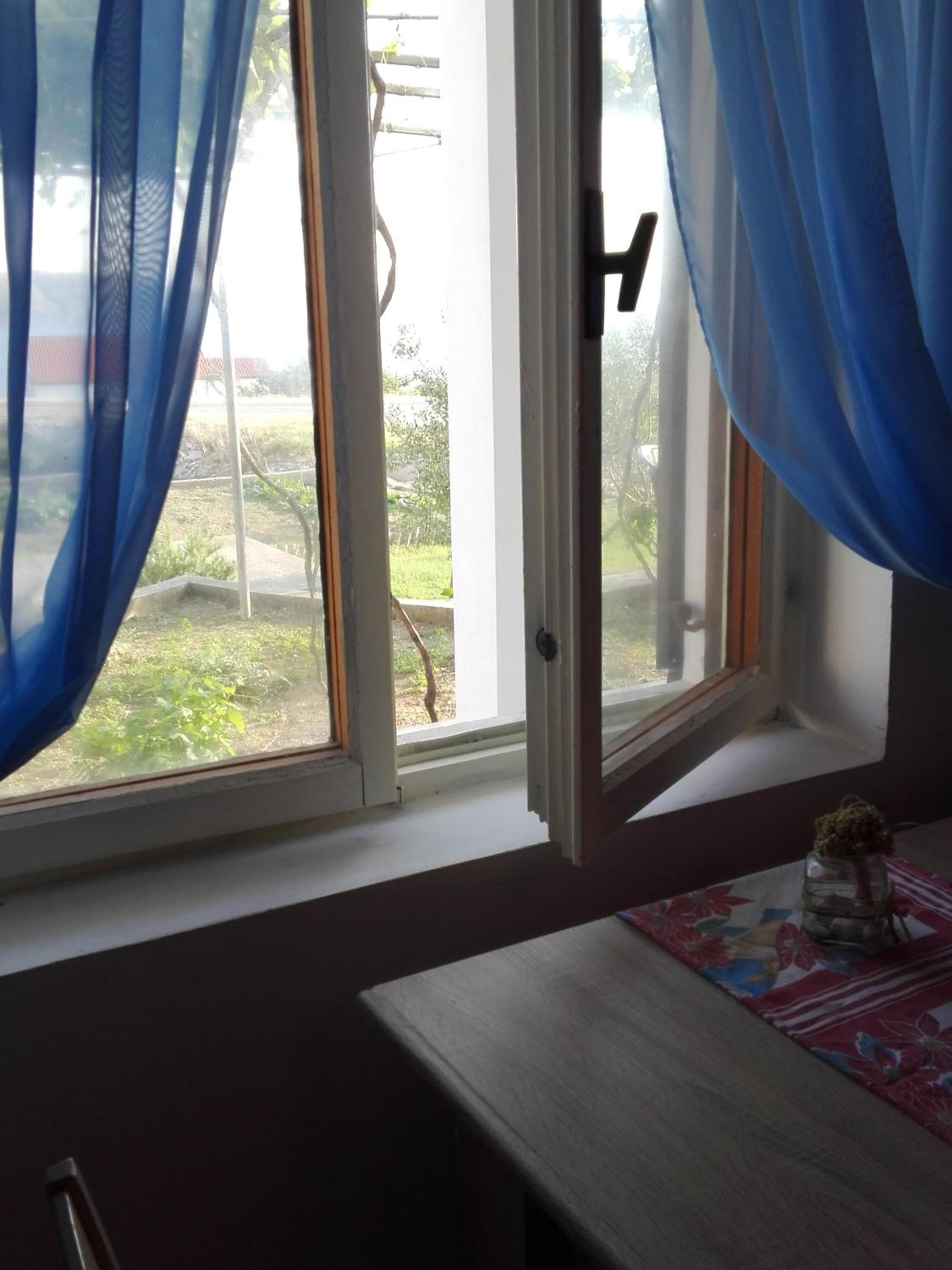 Apartment - Photo 15