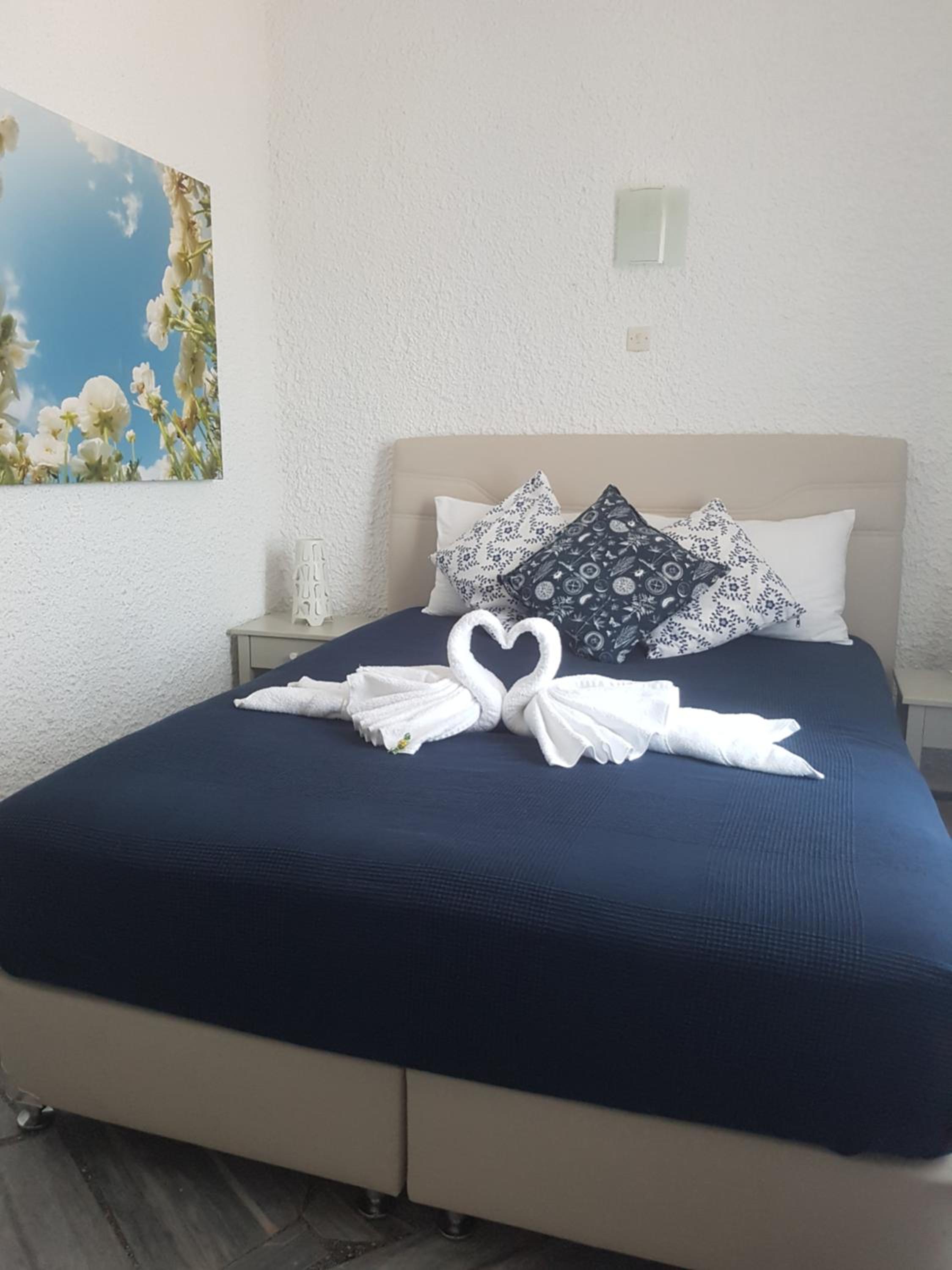 Double or Twin Room photo 3