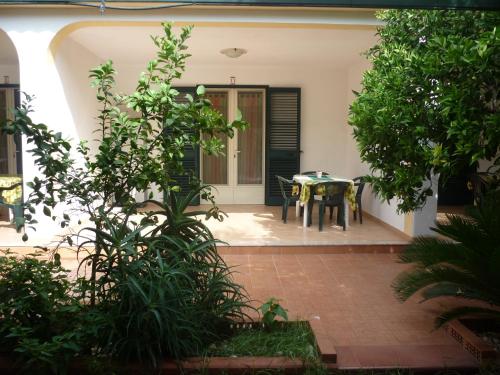 One-Bedroom Apartment with Patio