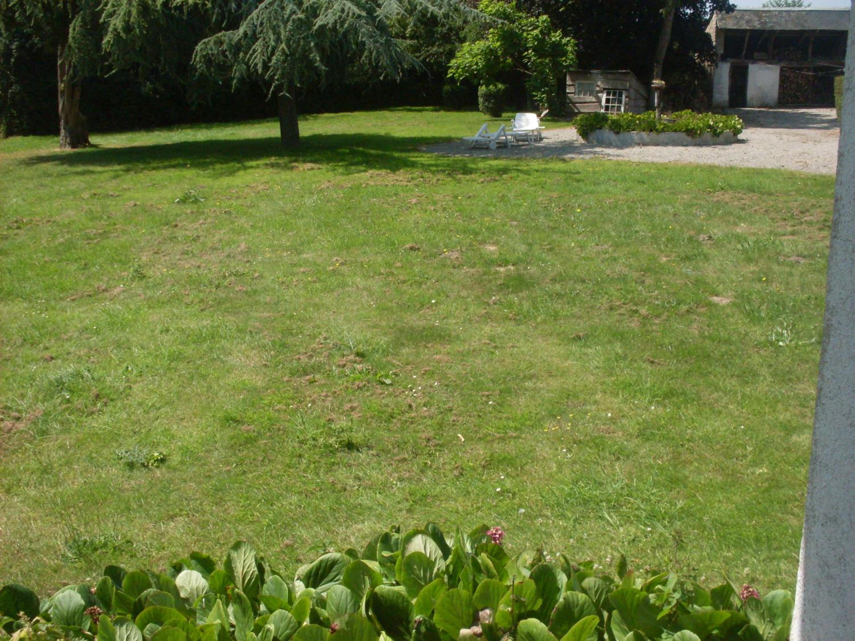 Double Room with Patio photo 3