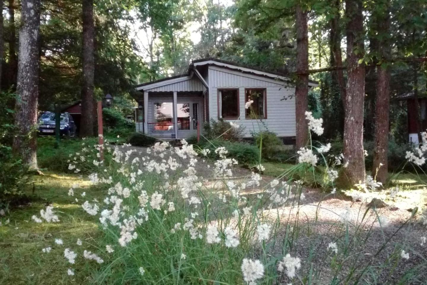 Three-Bedroom Chalet photo 1