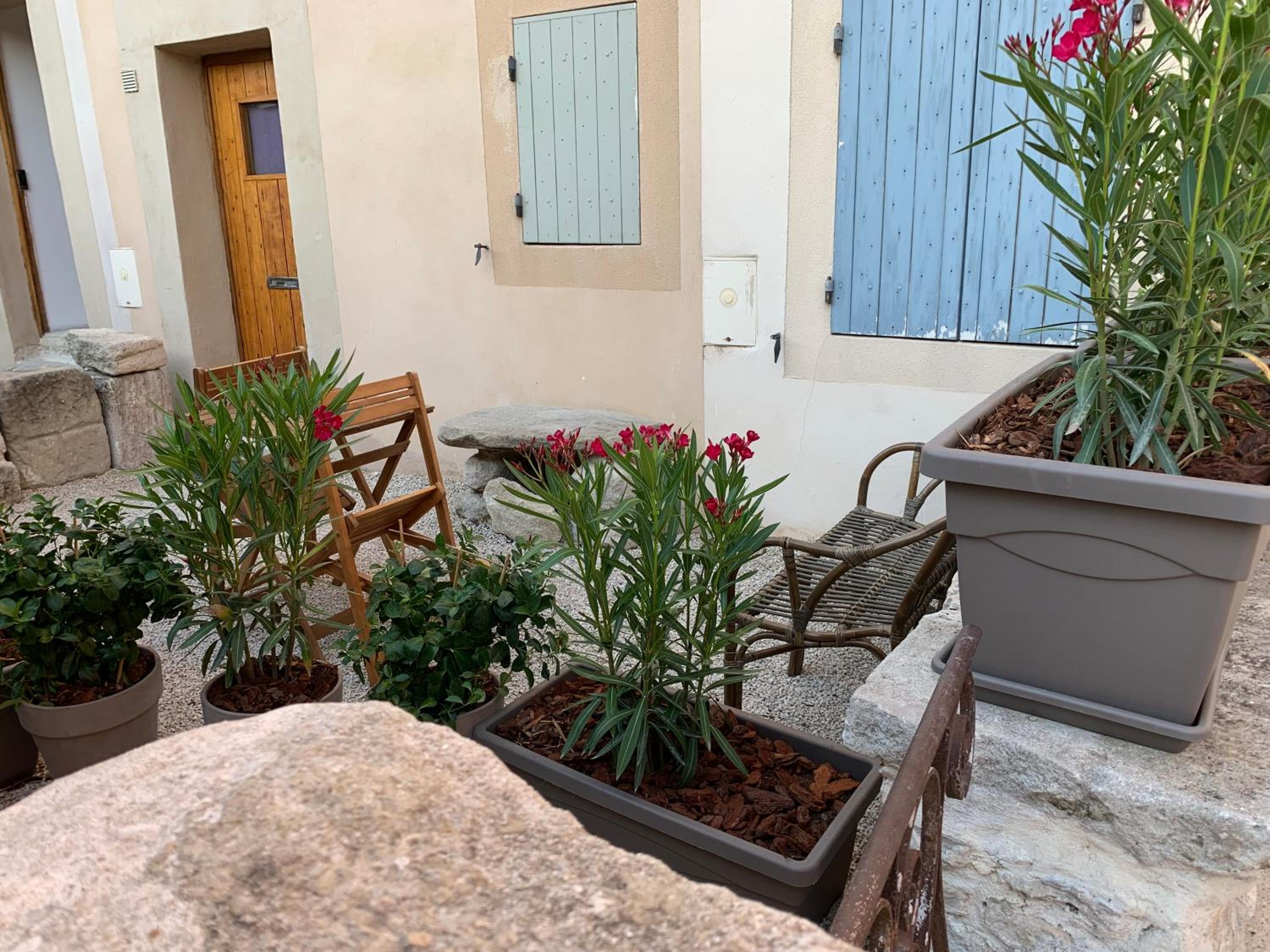 Apartment with Garden View photo 3