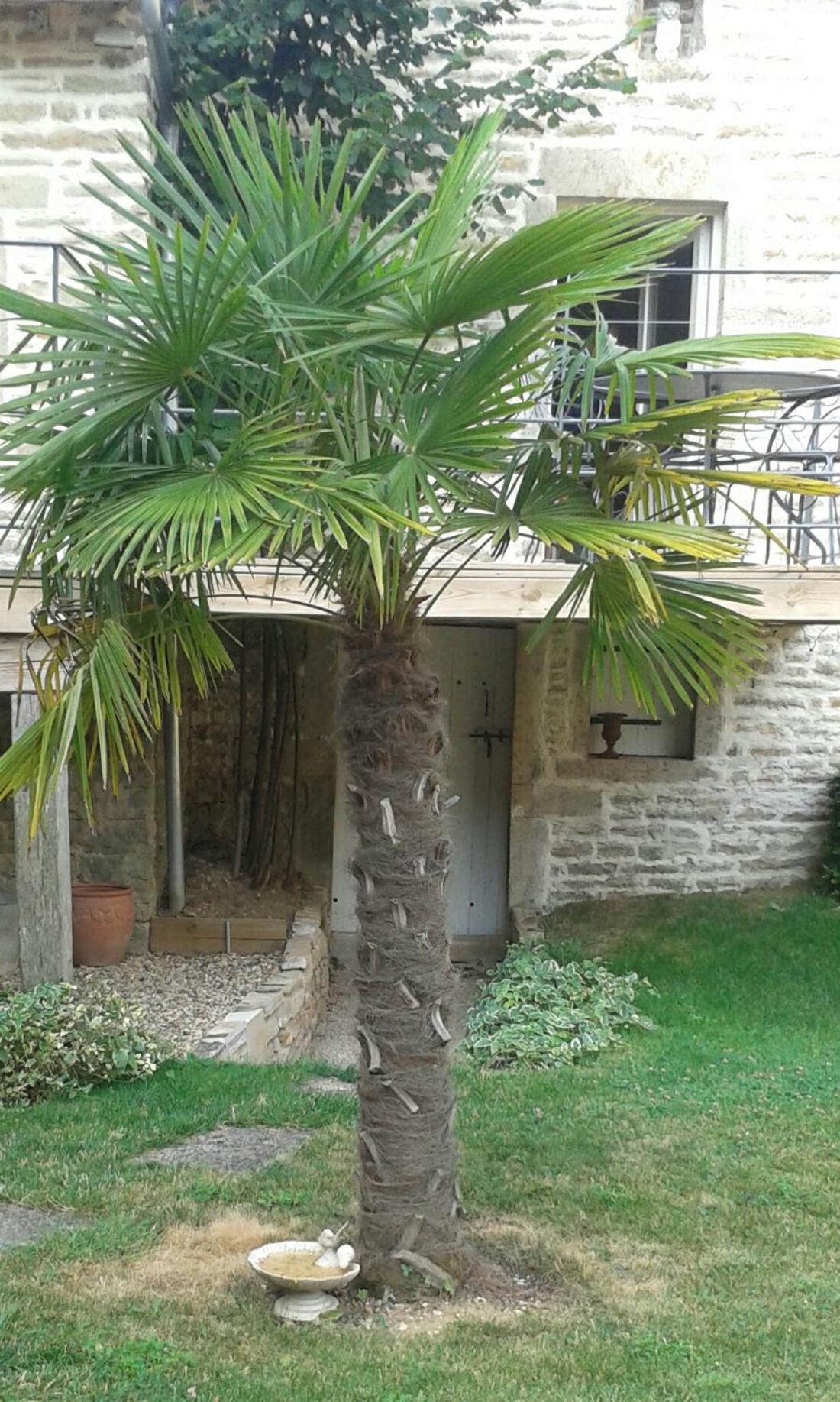 Family Room with Garden View photo 2