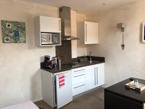 Studio Apartment photo 3