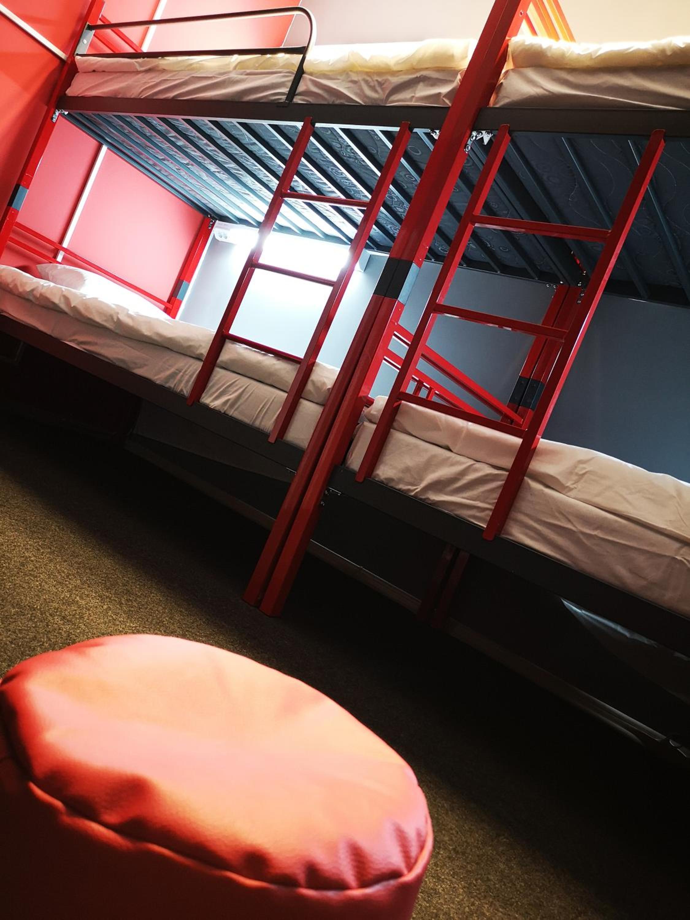 Bunk Bed in Mixed Dormitory Room
