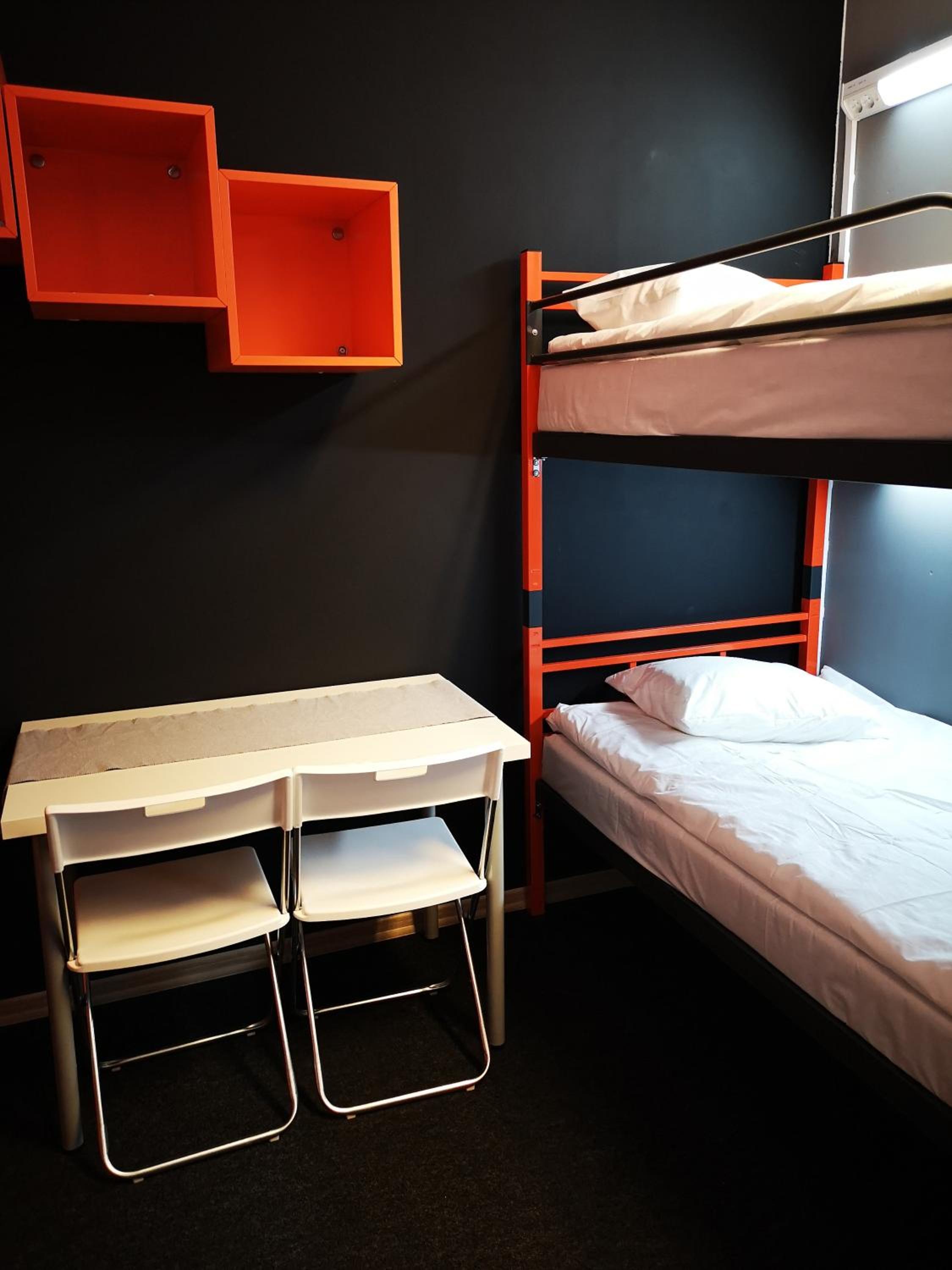 Bunk Bed in Mixed Dormitory Room