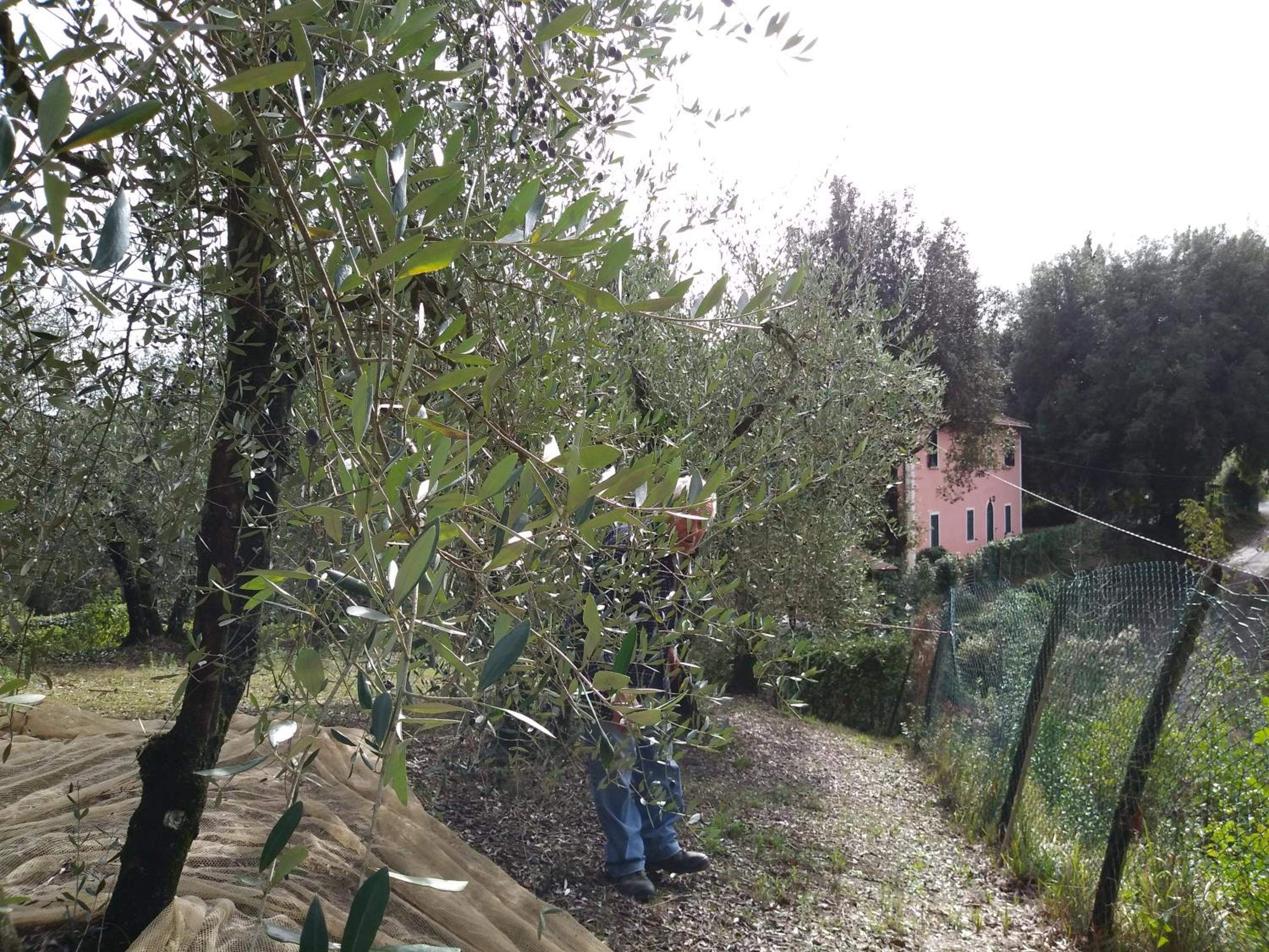 Holiday Home photo 2