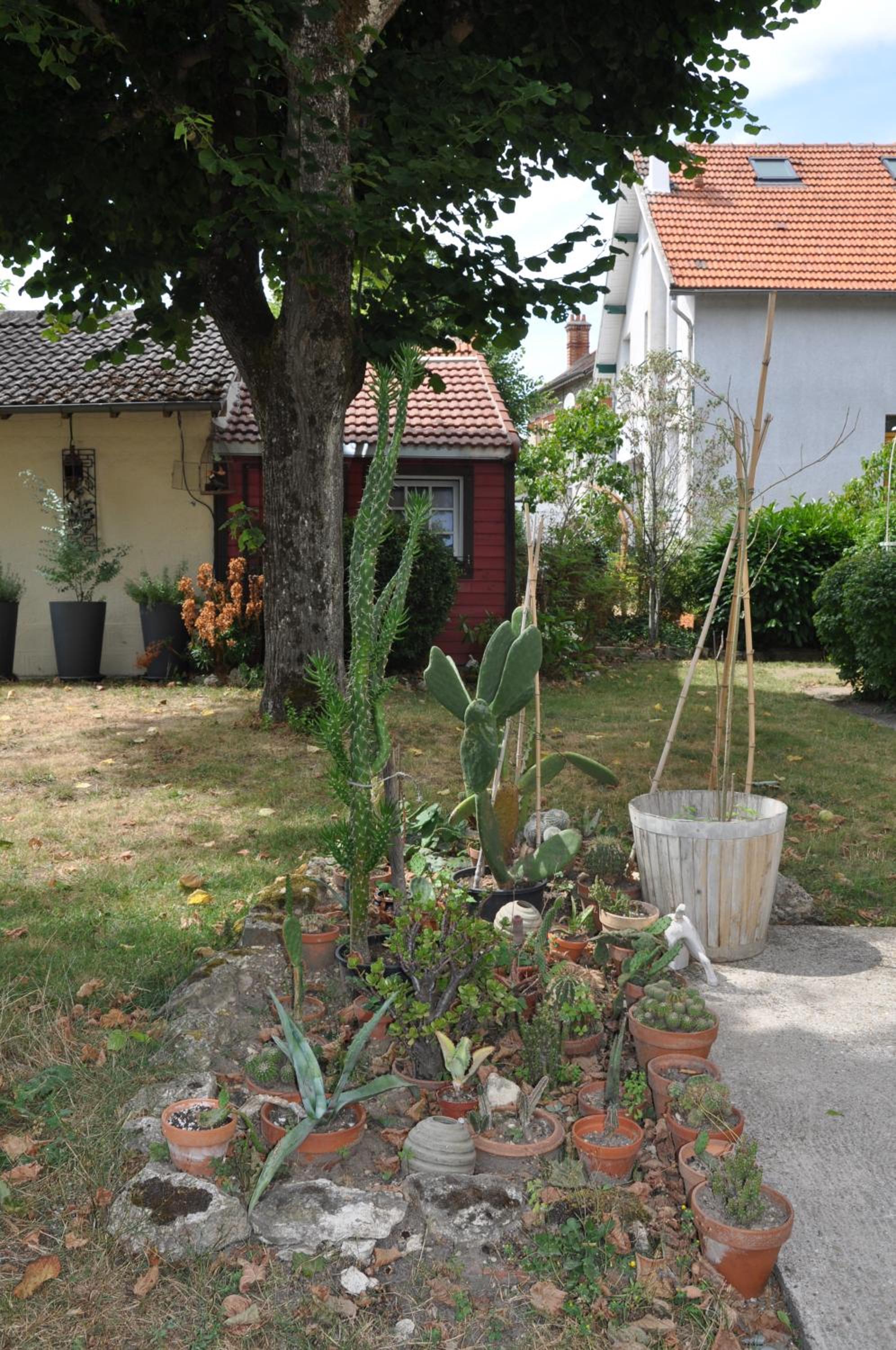 Double Room with Garden View